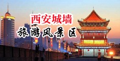 人操逼网址中国陕西-西安城墙旅游风景区